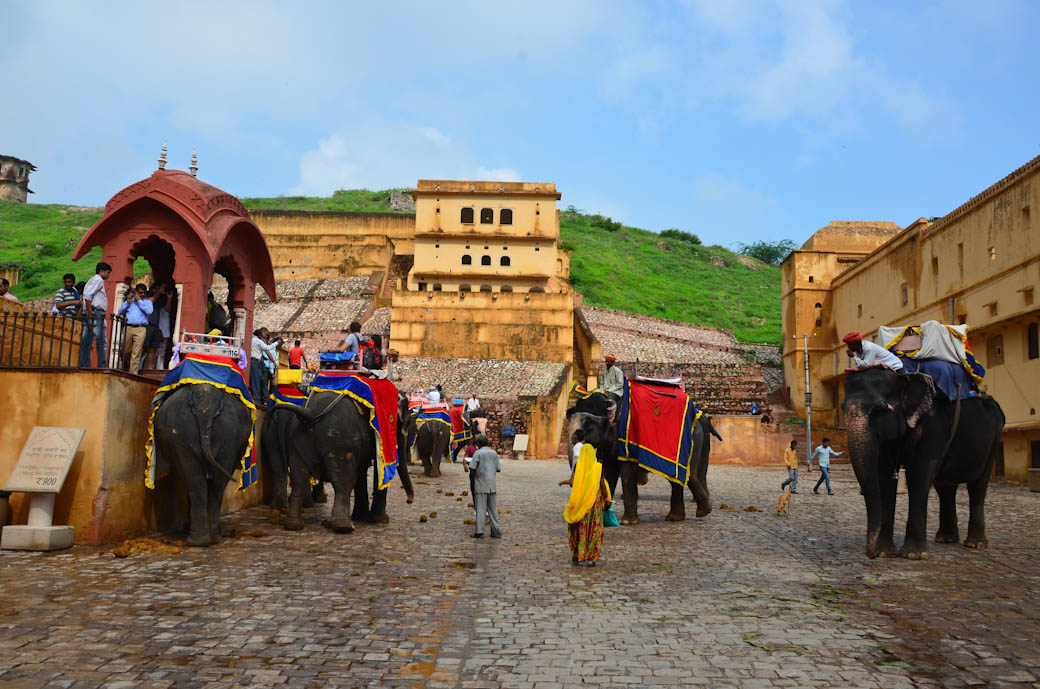 Best Golden Triangle Tour Packages