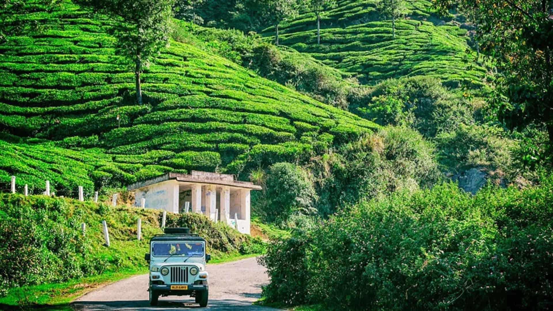 munnar-to-thekkad-trip